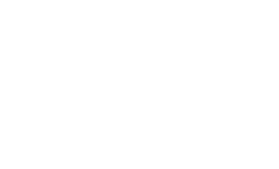 logo-white